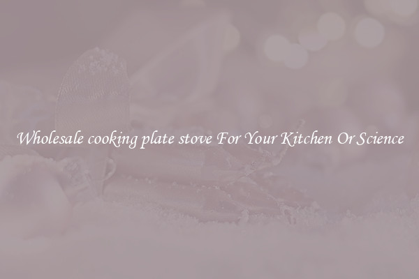 Wholesale cooking plate stove For Your Kitchen Or Science