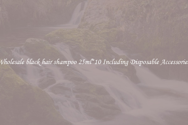 Wholesale black hair shampoo 25ml*10 Including Disposable Accessories 
