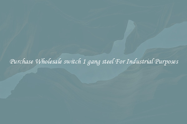 Purchase Wholesale switch 1 gang steel For Industrial Purposes