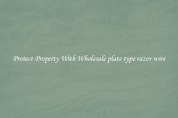 Protect Property With Wholesale plate type razor wire