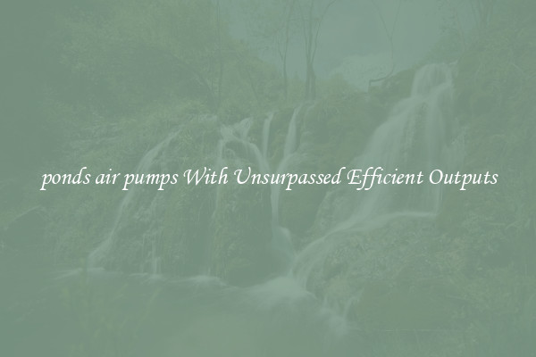 ponds air pumps With Unsurpassed Efficient Outputs