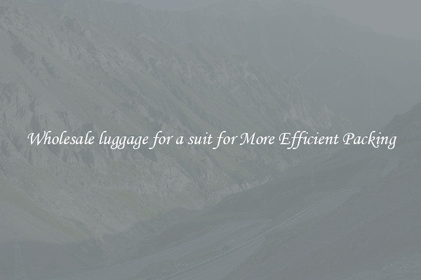 Wholesale luggage for a suit for More Efficient Packing