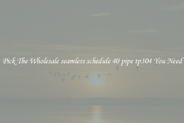 Pick The Wholesale seamless schedule 40 pipe tp304 You Need