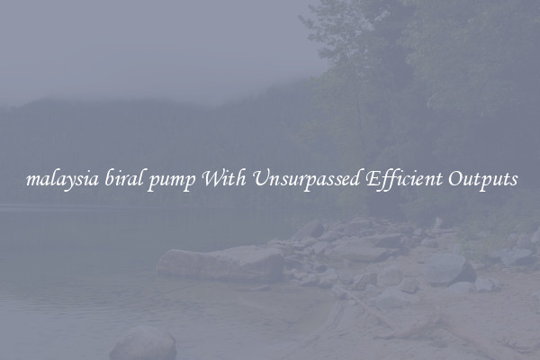 malaysia biral pump With Unsurpassed Efficient Outputs