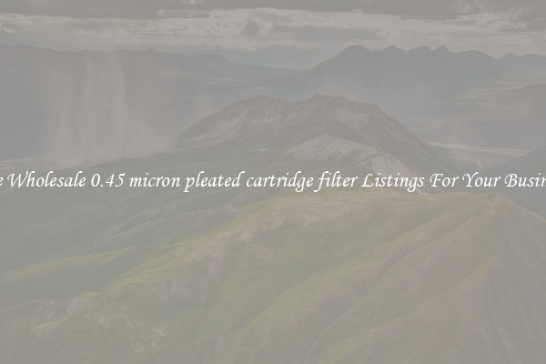 See Wholesale 0.45 micron pleated cartridge filter Listings For Your Business