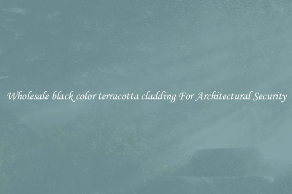 Wholesale black color terracotta cladding For Architectural Security