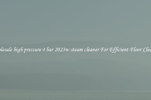 Wholesale high pressure 4 bar 2023w steam cleaner For Efficient Floor Cleaning