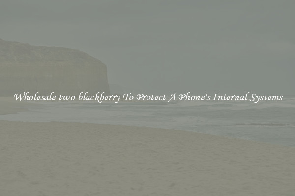 Wholesale two blackberry To Protect A Phone's Internal Systems