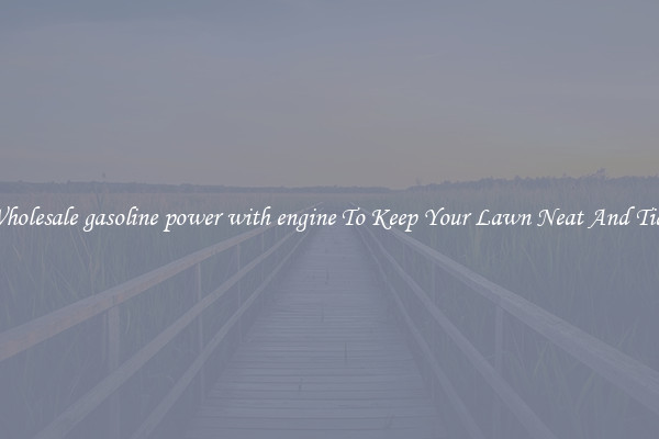 Wholesale gasoline power with engine To Keep Your Lawn Neat And Tidy
