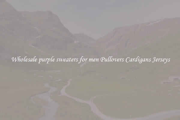 Wholesale purple sweaters for men Pullovers Cardigans Jerseys