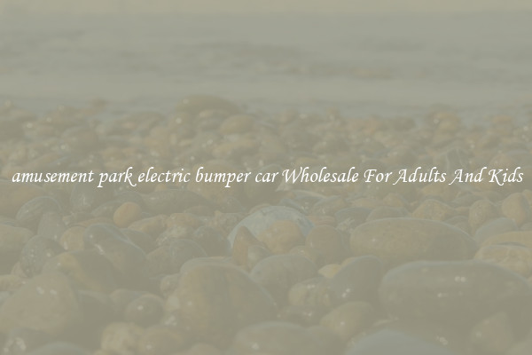 amusement park electric bumper car Wholesale For Adults And Kids