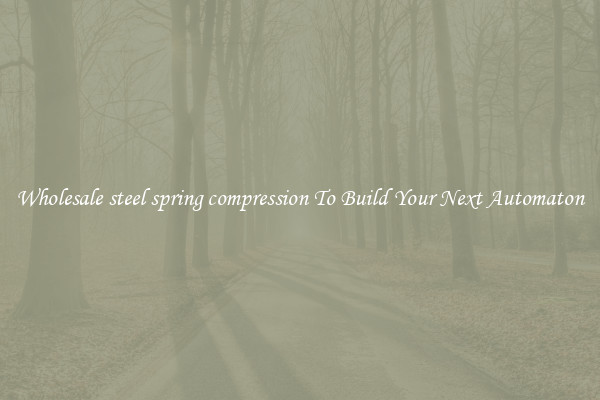 Wholesale steel spring compression To Build Your Next Automaton