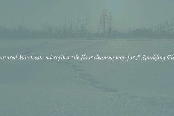 Featured Wholesale microfiber tile floor cleaning mop for A Sparkling Floor