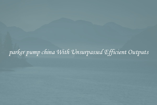 parker pump china With Unsurpassed Efficient Outputs