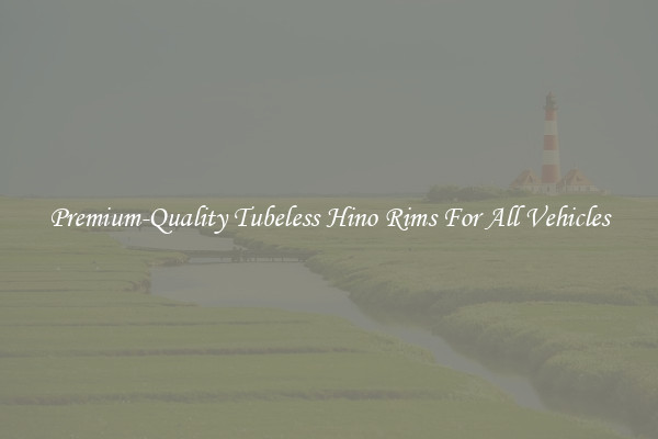 Premium-Quality Tubeless Hino Rims For All Vehicles