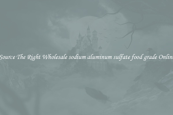Source The Right Wholesale sodium aluminum sulfate food grade Online