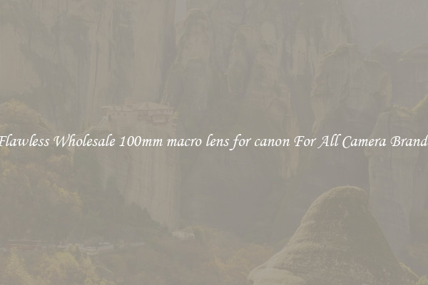 Flawless Wholesale 100mm macro lens for canon For All Camera Brands