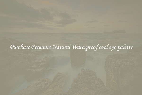 Purchase Premium Natural Waterproof cool eye palette