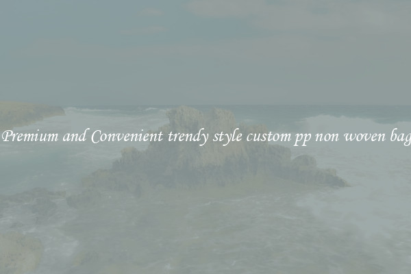 Premium and Convenient trendy style custom pp non woven bag
