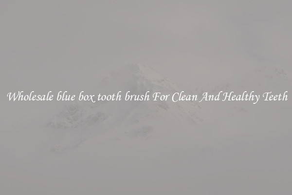 Wholesale blue box tooth brush For Clean And Healthy Teeth