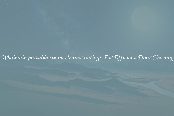 Wholesale portable steam cleaner with gs For Efficient Floor Cleaning
