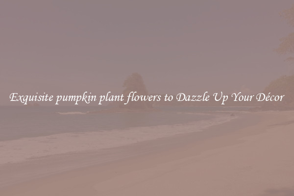 Exquisite pumpkin plant flowers to Dazzle Up Your Décor 